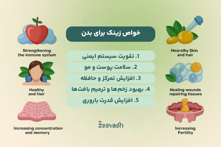 خواص زینک برای بدن